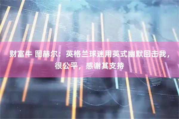 财富牛 图赫尔：英格兰球迷用英式幽默回击我，很公平，感谢其支持