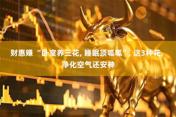 财惠赚 “卧室养三花, 睡眠顶呱呱”, 这3种花, 净化空气还安神
